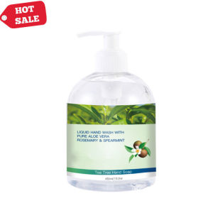 Aloe Vera Perfume Cleansing Disinfectant Antibacterial Gel Waterless Bottle Hand Wash Liquid Soap