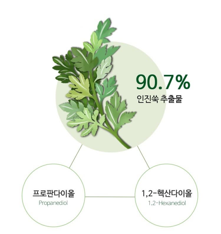 [CELLBN]  Echinacea Mist Skin