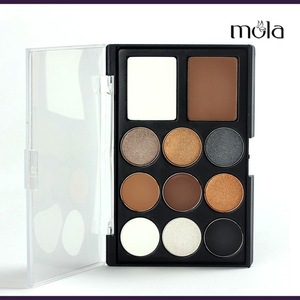 Cheap 11 muti-color makeup kit with eyeshadow and blush makeup sets