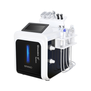 Multi-functional 10 in 1 high frequency facial machine aqual peeling oxygen facial machine OEM customization facial machine