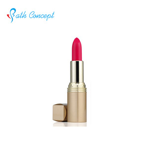 New type high quality cosmetic coloration lipstick