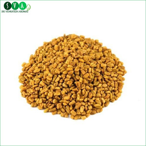 Organic Pure Fenugreek Carrier Oil at Competitive Price