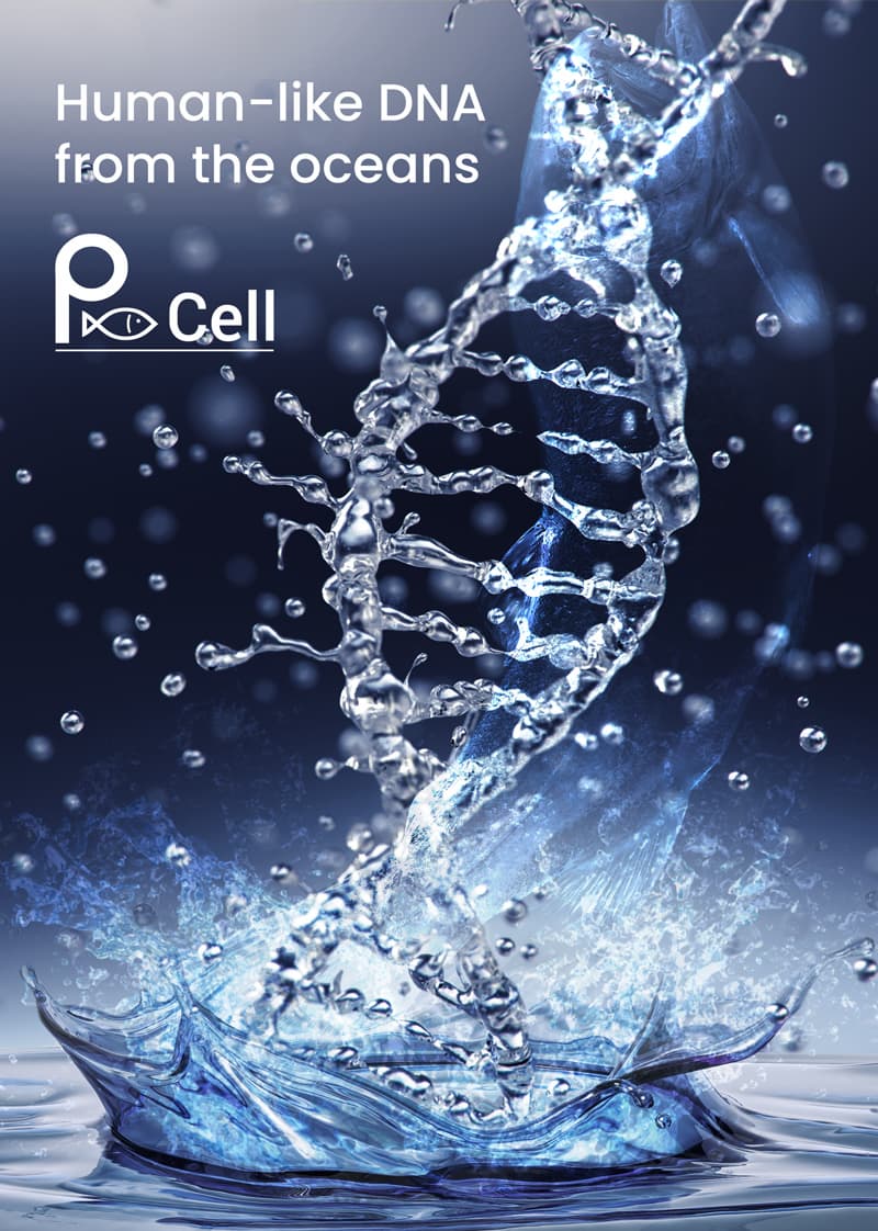 P Cell Solution Essence (PDRN,ANTI-AGING /CPNP)