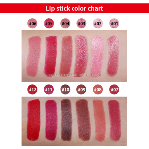 Private label high  pigment matte waterproof  lipstick lip stick