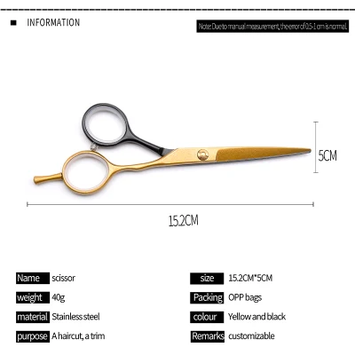 Professional Hair Cutting Thinning Shears Hairdressing Comb Standard Scissors