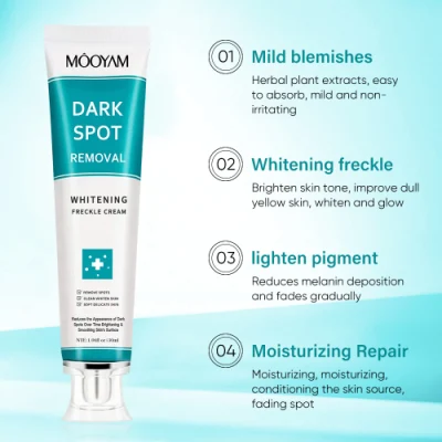 Wholesale Customize Own Brand Strong Whitening Freckle Cream Removal Melasma Dark Spot Melanin Remover Brighten Skin Face Cream
