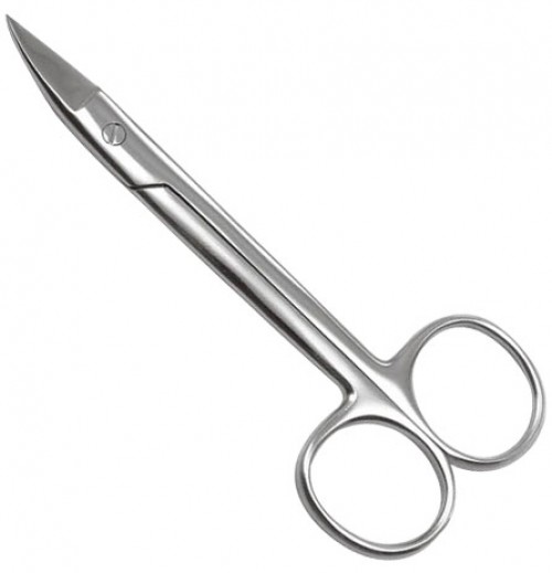 Nail scissor