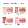 Mini Lip Balm Set Fruit Flavor Herbal Moisturizing Waterproof Travel Size Private Label Wholesale Low MOQ