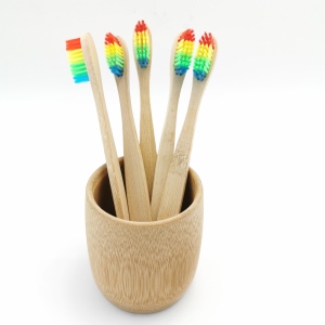 10PCS/PACK Premium Best ECO Reusable Organic Bamboo Toothbrush