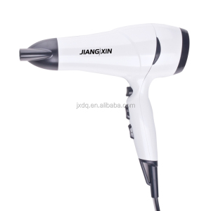 220-240V Removable Air Intake Vent Professional Function Hair Dryer With DC Motor
