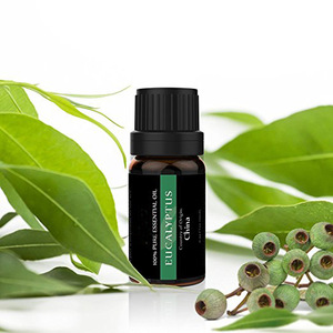 Essential oil 100% Pure Essential Oil Aromatherapy Gift Set 6 pure oil 10ml private