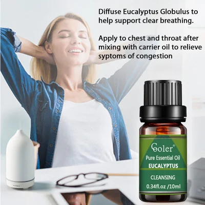 Factory Supply Top Quality Eucalyptus Essential Oil