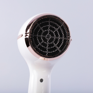 Hair Dryer Supplier 2200w Negative Professional Hair Dryer With Dc Motor