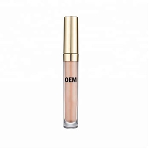 Hot Sale Hyaluronic Acid Moisturizing Plumping Lip Gloss OEM Lip Plumper Gloss