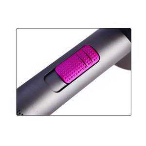 Iron gray&Fuchsia hair dryer holder 1800-2000W portable hair dryer machine