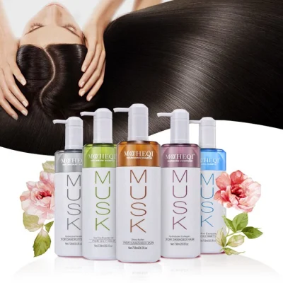 Mocheqi Hair Shampoo Nourishing Moisturizing Anti-Grease Anti-Loss Ginger Strengthening OEM/ODM Available Shampoo