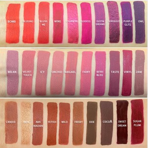 New arrive Cosmetic Make Your Own Lip Gloss High Pigment Lipgloss