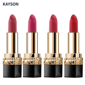 OEM Make Your Own Customize Waterproof Private Label Cosmetic Matte Lipstick