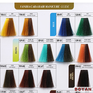 Revlon hair color ISO synthetic hair color swatch flip chart