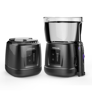 Waterpulse Wholesale Price Teeth Oral Irrigator in other oral hygiene products dental floss