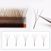 Custom Private Label Lash Extension Volume Cashmere Silk Premade Fan 0.07mm V Y Shape Brown 6D W 3D Clover Natural Vegan