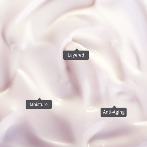 XOUL Layered Cream - Human Stem Cell Conditioned Media