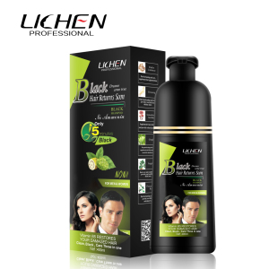 2021 Brand New Hair Color Non Allergic Natural Herbal Ginseng Noni Extract Black Hair Dye Shampoo in Stock