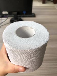 Biodegradable Flushable Toilet Paper