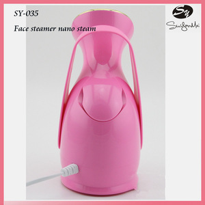 Chinese supply facial sprayer personal hair skin care home use micro mist hair steamer