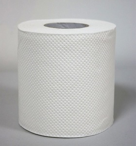 Factory direct Hygenic Soft Absorbent Flushable white 100% Virgin 2 ply Toilet Paper