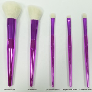 Fashion Travel Brushes Set Cosmetics Tool Kits 5 Pieces Makeup Brush Set