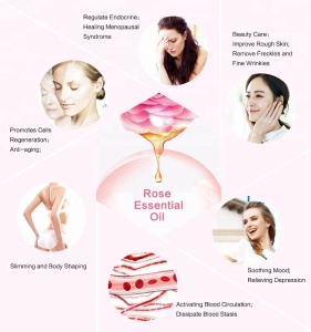 Female body massage oil natural essential oils