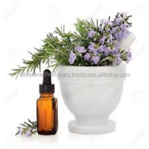 Hot-selling good product natural best quality rosemary Oil
