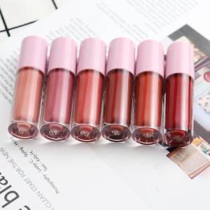 OEM/ODM Private Label Long Lasting Matte Lip gloss Makeup Cosmetics Lip Tint Liquid Lipstick Multicolor Lipgloss
