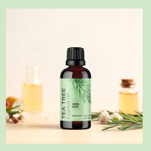 Private label 100% l Pure Tea Tree Essential Oil for Skin Dry Scalp  Steam distillation nature essential tea tree oil