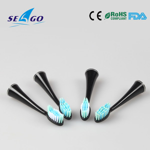 Toothbrush Head with High Quality Dupont Bristle for Electric Toothbrush