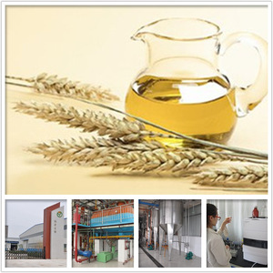 Virgin wheat germ oil carrier oil for skin care