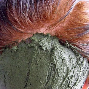 Wholesaler of Hair Dye - Indigofera Tinctoria / Indigo / Black Henna