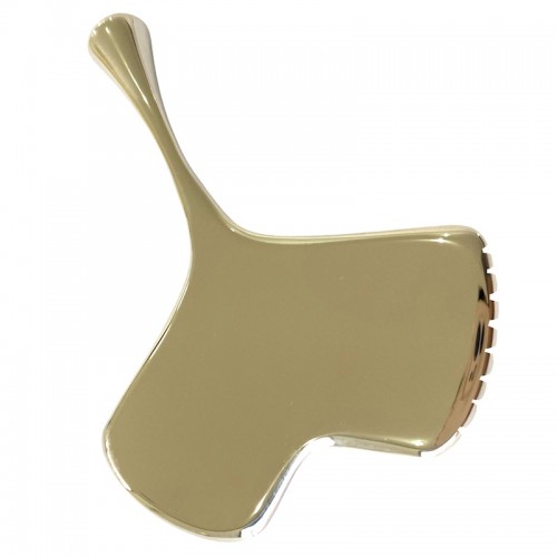 New 304 Stainless Steel IASTM Tool Unique Design Ginkgo Toothed Gua Sha Plate Facial And Body Beauty Massager