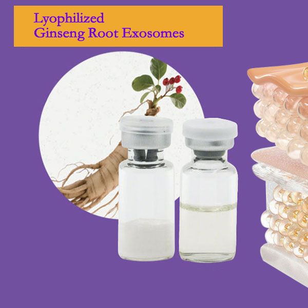 Lyophilized Panax Ginseng Root Exosomes