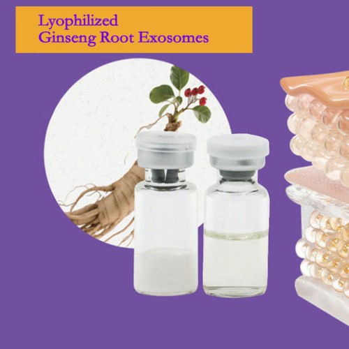 Lyophilized Panax Ginseng Root Exosomes