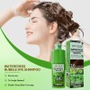 Permanent Hair Dye Shampoo Ammonia-Free Herbal Formula Natural Ingredients Covers Gray Hair Long-lasting Color for All Hair