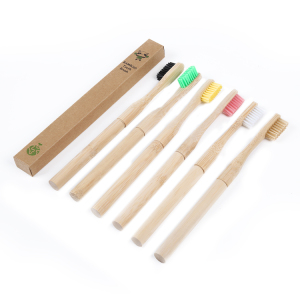 100% Biodegradable Castor Oil Bristles Replaceable Brush Head Bamboo Toothbrush