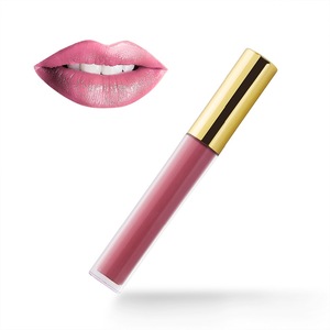 2017hotsale Waterproof velvet LipGloss Longlasting Matte Lip Gloss