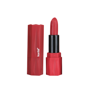 Custom Private Label Beauty Cosmetic Packaging Best Dark Red Mate Lipstick