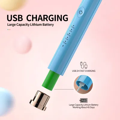 Rechargeable Electric Ultrasonic Toothbrush