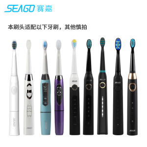 SEAGO wholesale SGD103  replacement electric tooth brush heads