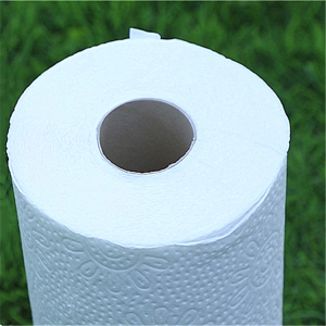 White Bamboo Kitchen Paper Towel Roll