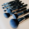 Sylyne Makeup Brushes 10pcs Professional Brush Set Powder Highlighter Eyebrow Eyeshadow Make Up Kit Tools