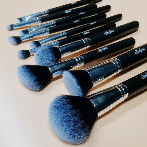 Sylyne Makeup Brushes 10pcs Professional Brush Set Powder Highlighter Eyebrow Eyeshadow Make Up Kit Tools